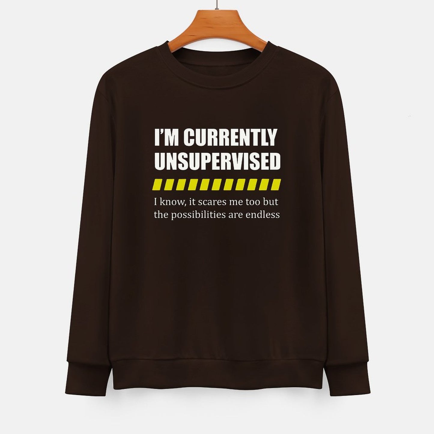 I Am Currently Unsupervised Unisex Hoodie& Sweater