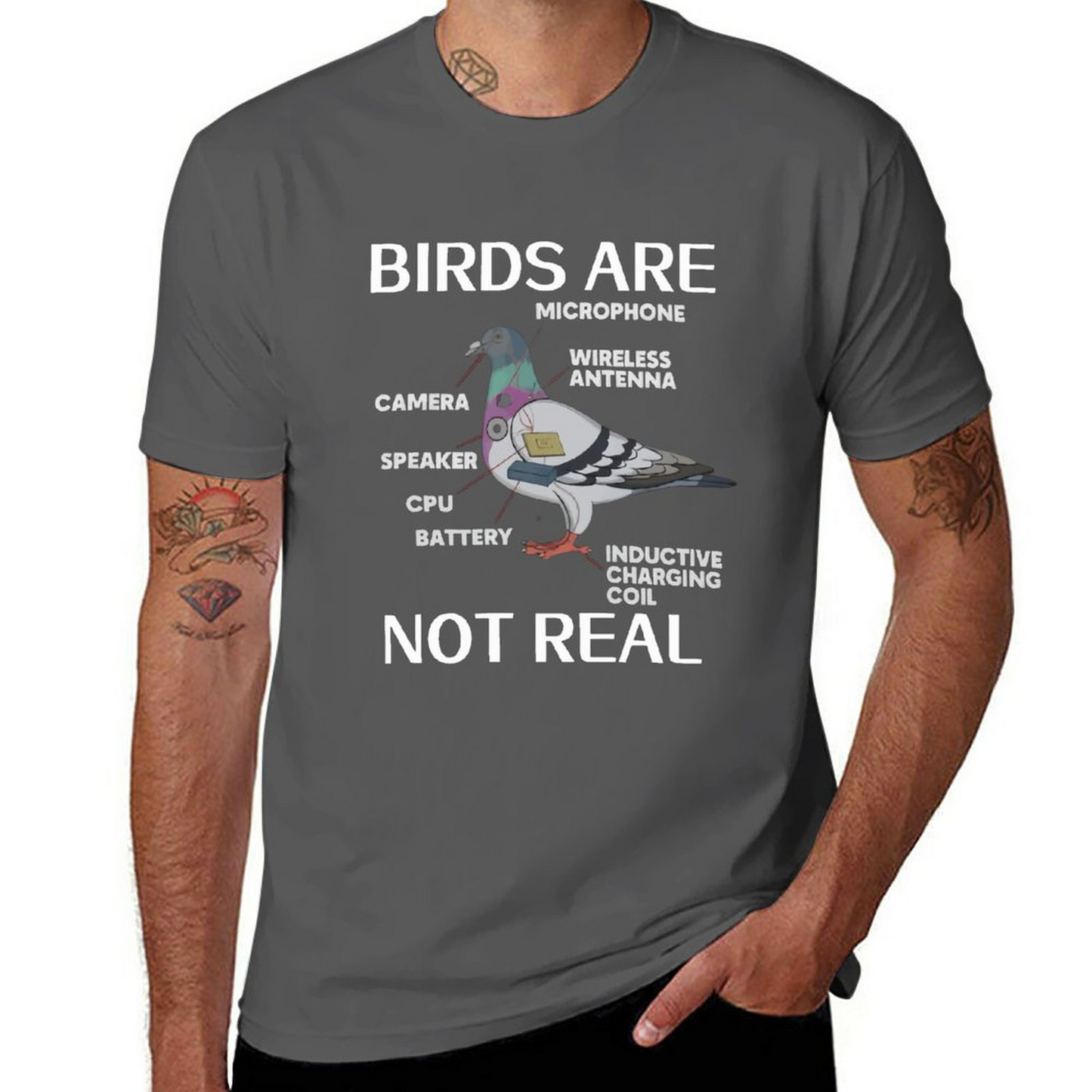 Birds Are Not RealT-shirt